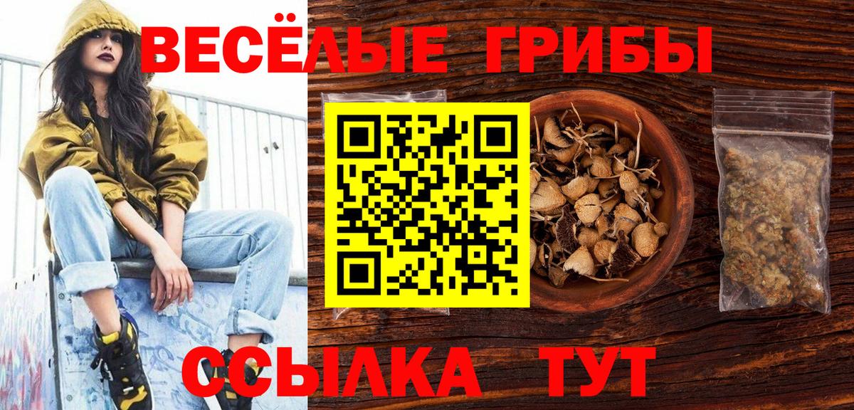 Пугачёв  Псилоцибиновые грибы MAGIC MUSHROOMS  Галлюциногенные грибы мицелий  Вход с VPN 